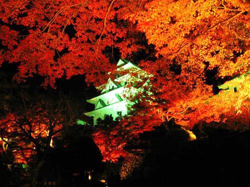 Asano Ryokan Gujo Exterior foto